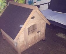 dog box