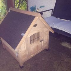 dog box