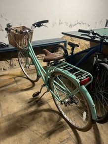 Bobbin Brownie bike