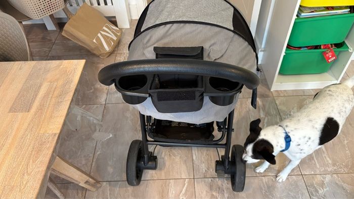 joie buggy