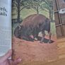 apx 20 Audubon magazine natural history Image 4