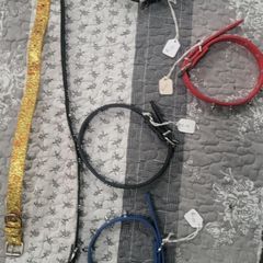 Pet collars 10euro