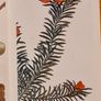 .The Observers Book Of TRRES & shrubs Of The British ISLES. 240 PAGES POCKET SIZE. Image 4
