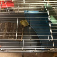 rabbit hutch