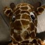 hot water bottle holder soft toy giraffe Image 6