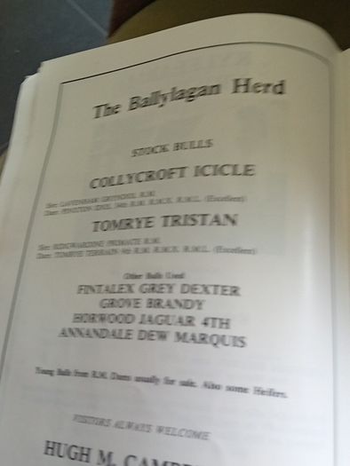 Irish Friesian Breeders 1976 Book