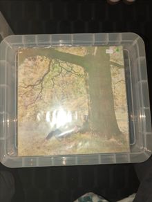 John Lennon / Plastic Ono Band - John Lennon / Plastic Ono Band (LP, Album) 1970 UK First Pressing
