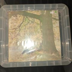 John Lennon / Plastic Ono Band - John Lennon / Plastic Ono Band (LP, Album) 1970 UK First Pressing