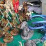 Sylvaneth Army Image 4