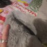 Grey river island boots Image 5
