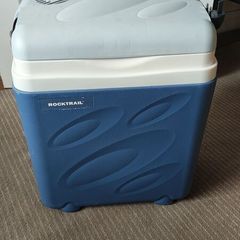 Electric cooler