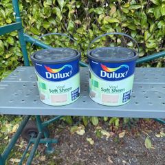 Dulux Warm Sands Paint