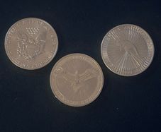 Silver 1oz coins