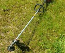 Petrol Strimmers