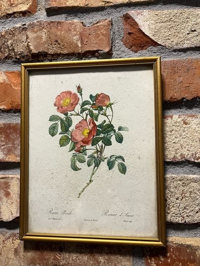 vintage pictures