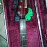 Ibanez RDGR 500 Bass Guitar Image 3