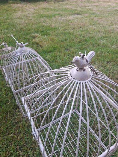 Bird Cage / flower display / floral arrangements
