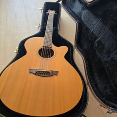 Cort SFX-1F Semi Acoustic Guitar