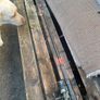 fishing Image 9