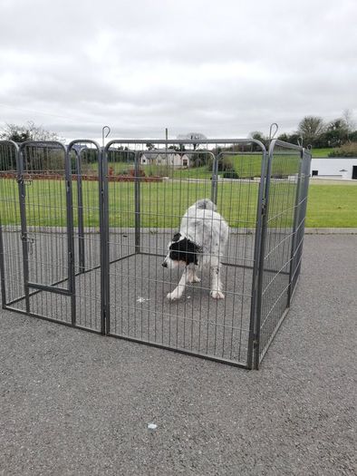 New 8 Panel Dog Enclosure Kennel Free Delivery
