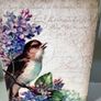 Sid Dickens memory block T-505 Sweet Beauty Image 4