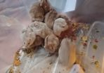 Free Hamsters for a good home