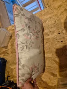 Cushion