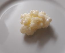 Organic Milk Kefir Grains