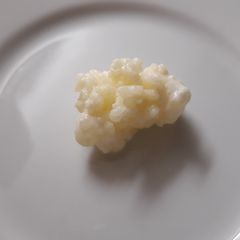 Organic Milk Kefir Grains