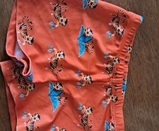 kids swimming shorts
