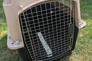 pet carrier