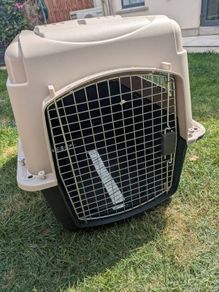 pet carrier