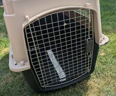 pet carrier