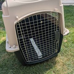 pet carrier