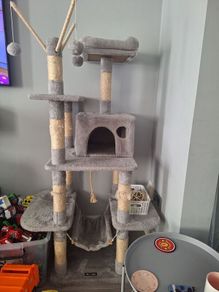 cat tree