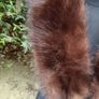 Art Deco Double Pelt Mink Cape Image 8