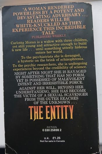 The Entity Frank De Felitta Pan Paperback 1979 Vintage Horror