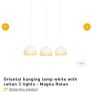 Pendent light Image 4