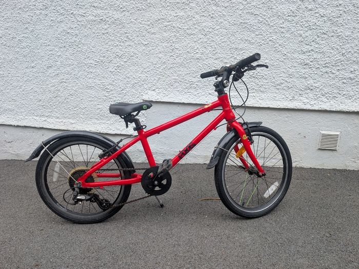 Frog Bike 55
