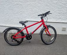 Frog Bike 55
