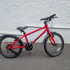 Frog Bike 55