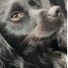 Nmcg2013