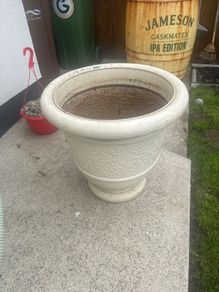 plant pot