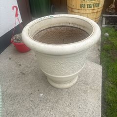 plant pot