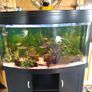 Juwel Vision Tank + Stand 260 Litres Image 10