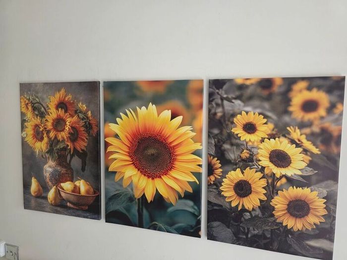 3 framed large canvas