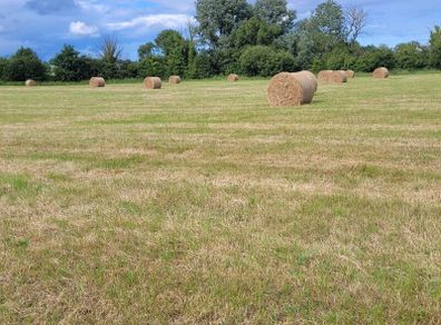 Good Hay  for Sale Co Meath