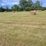 Good Hay  for Sale Co Meath Image 8