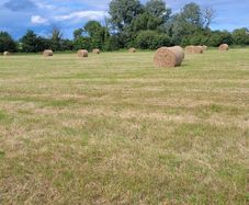 Good Hay  for Sale Co Meath