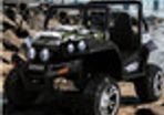 Ranch Wagon 24V Electric Ride On Buggy Army